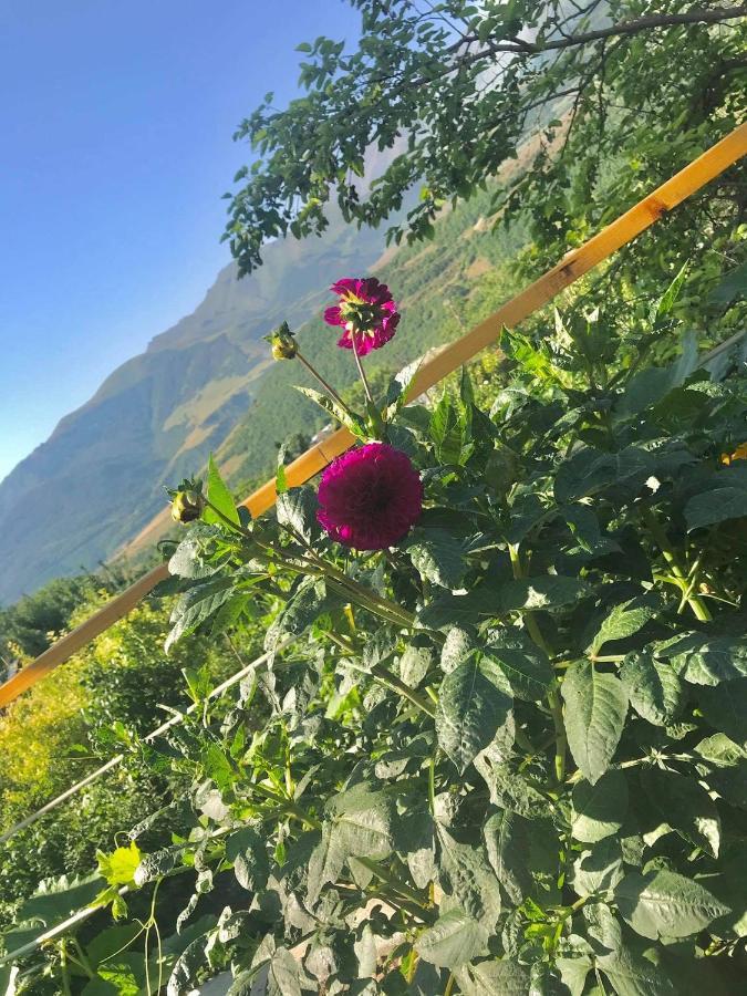 Ana-Maria Bnb Tatev Esterno foto
